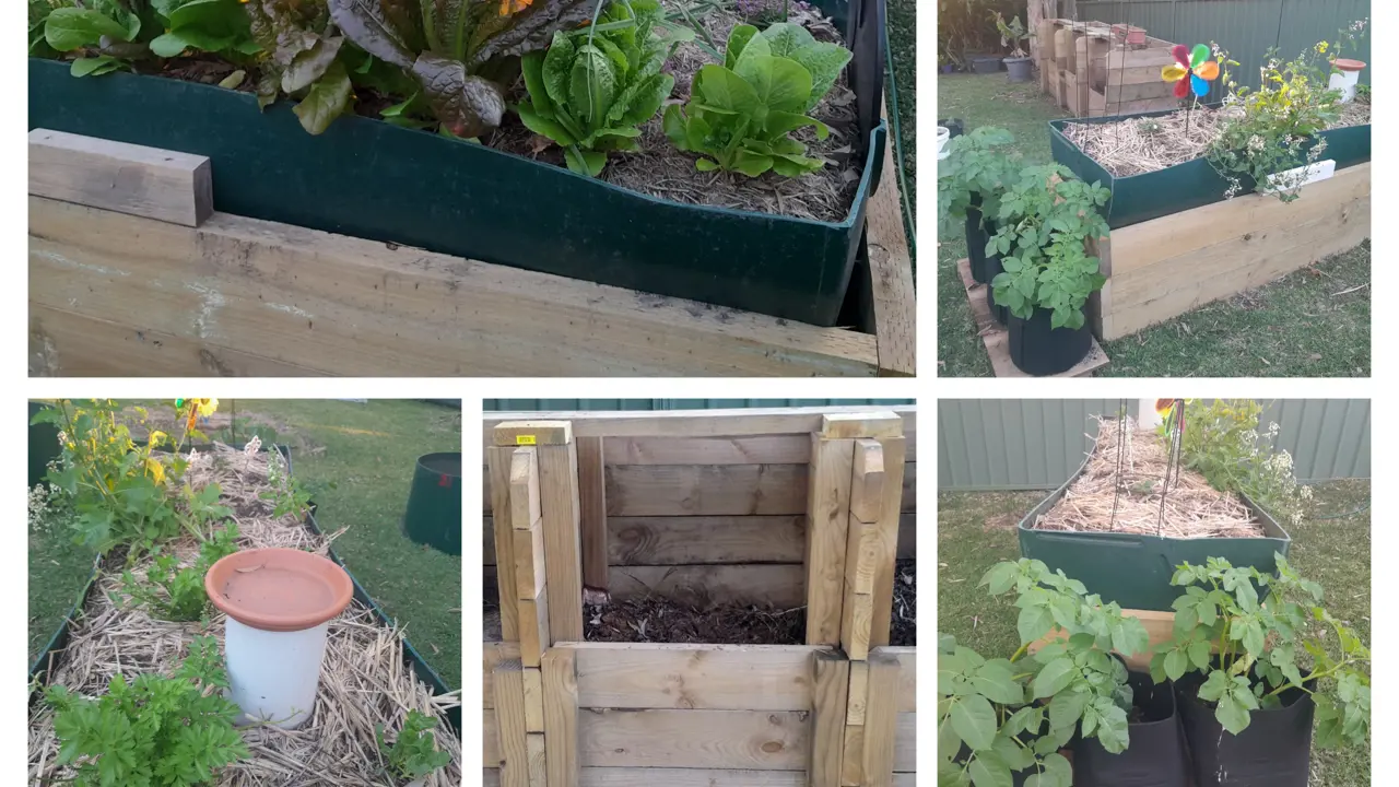 French Rd Community Garden.