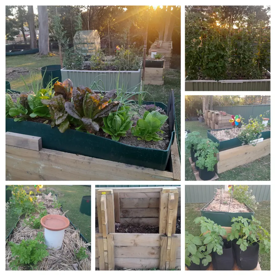 20250915 173616 COLLAGE